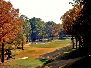 Shoal Creek 12th Tee